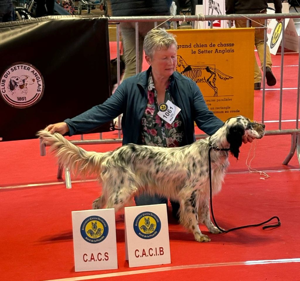  CACIB CACS Exposition Spéciale de race Amiens