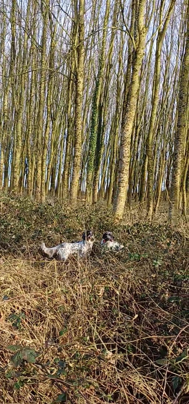 Purdey de Cazaous chasse 2025/2026