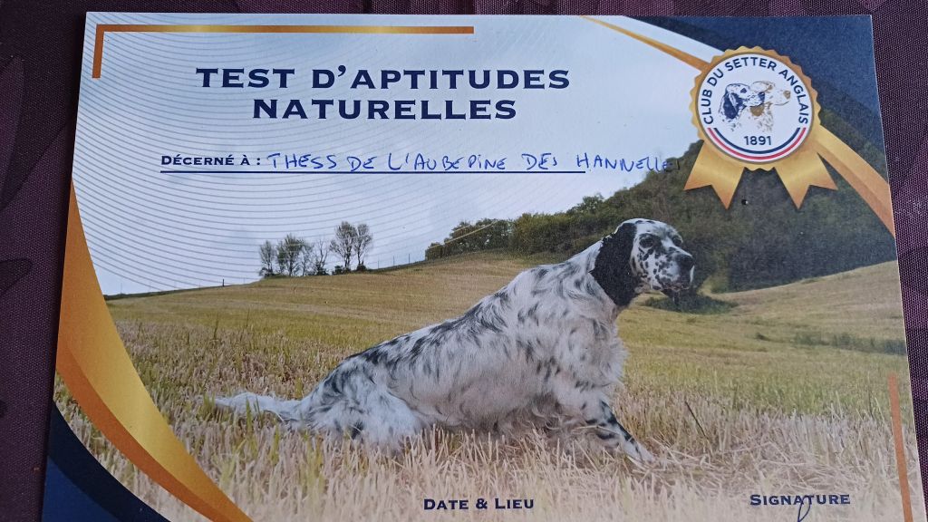THESS de L'AUBEPINE des HANNELLES TAN